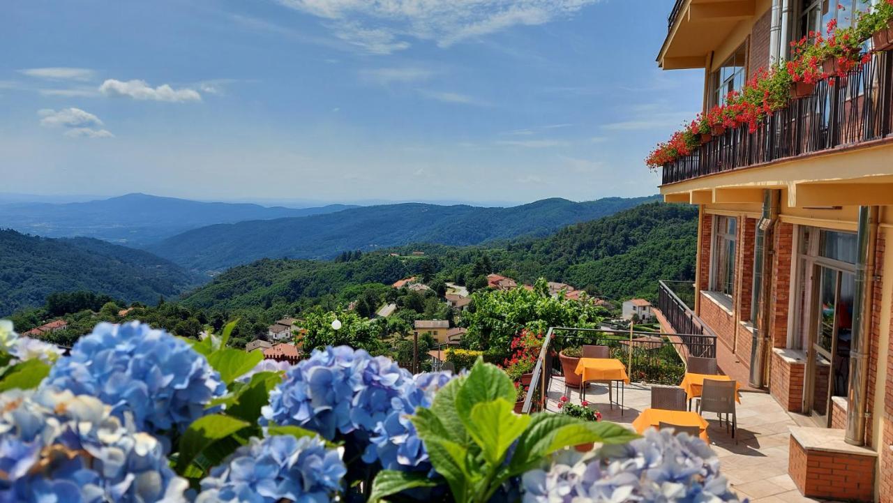 Aparthotel Amelia Dream View Momigno Kültér fotó